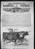 Old 1849 Jones Hereford Ox Rob West Highland Smithfield Club Cattle S Victorian