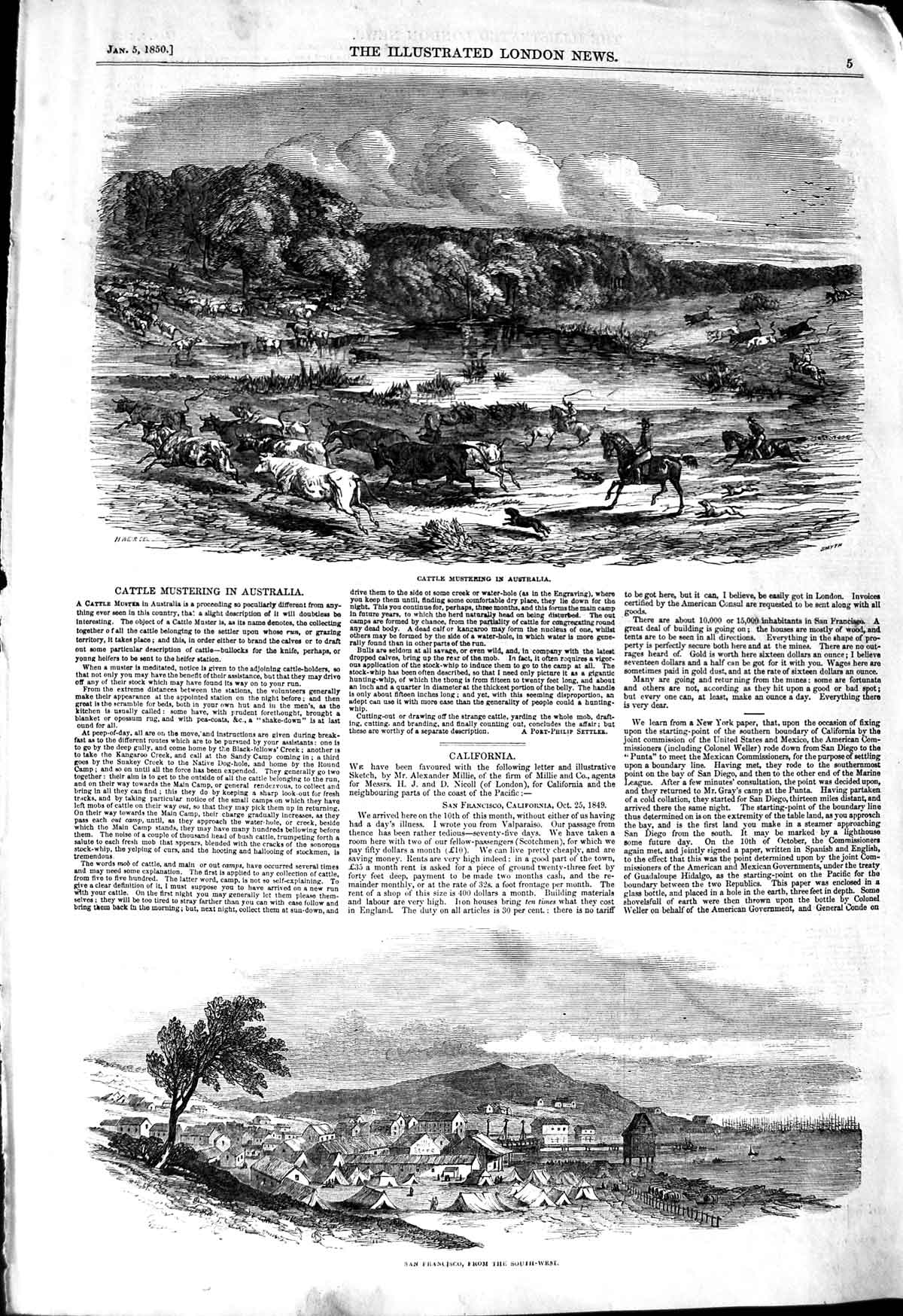 Old Antique Print 1850 Cattle Mustering Australia San Francisco America 19th