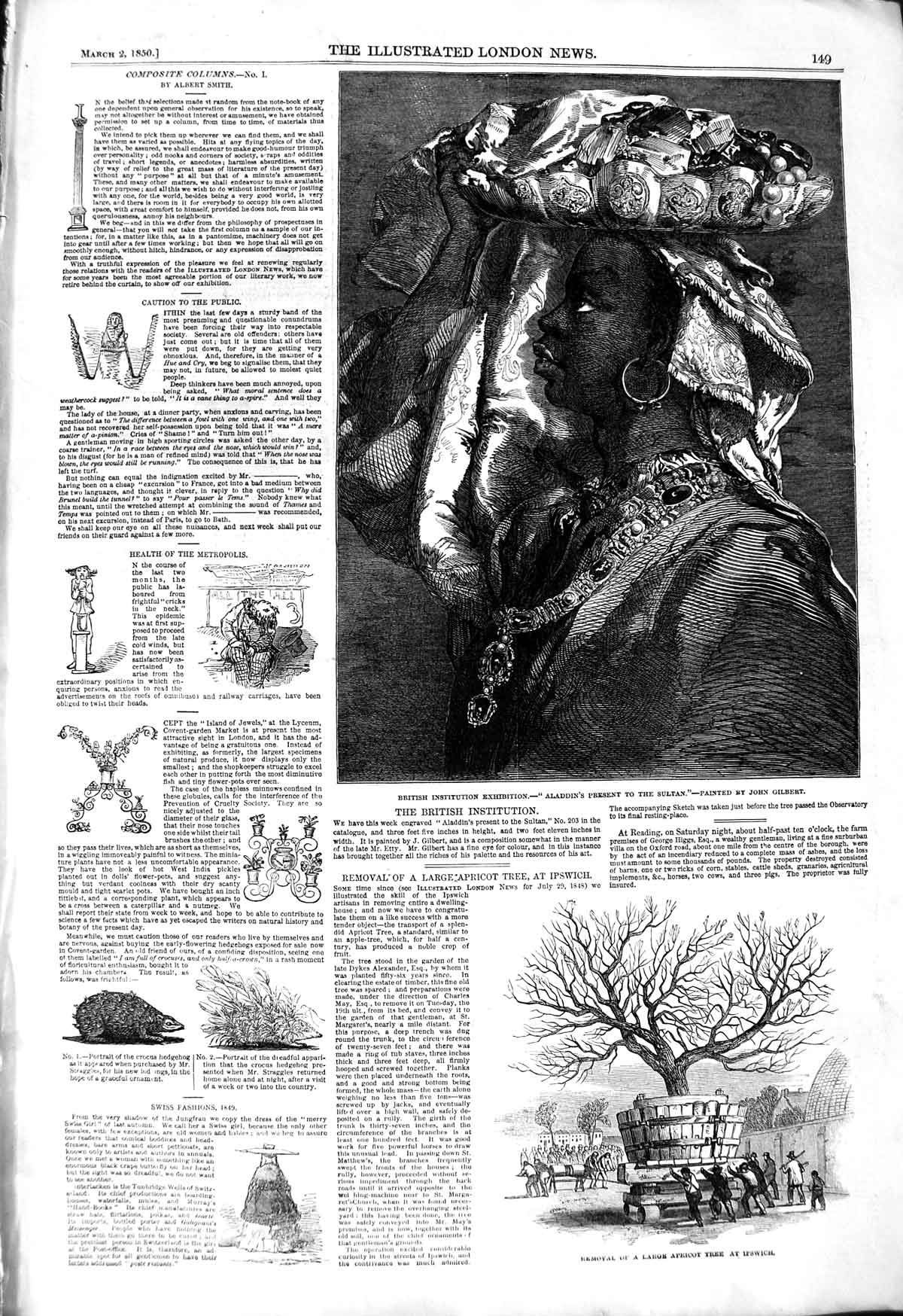 Old Antique Print 1850 Aladdin Present Sultan Large Apricot Tree Ipswich 19th