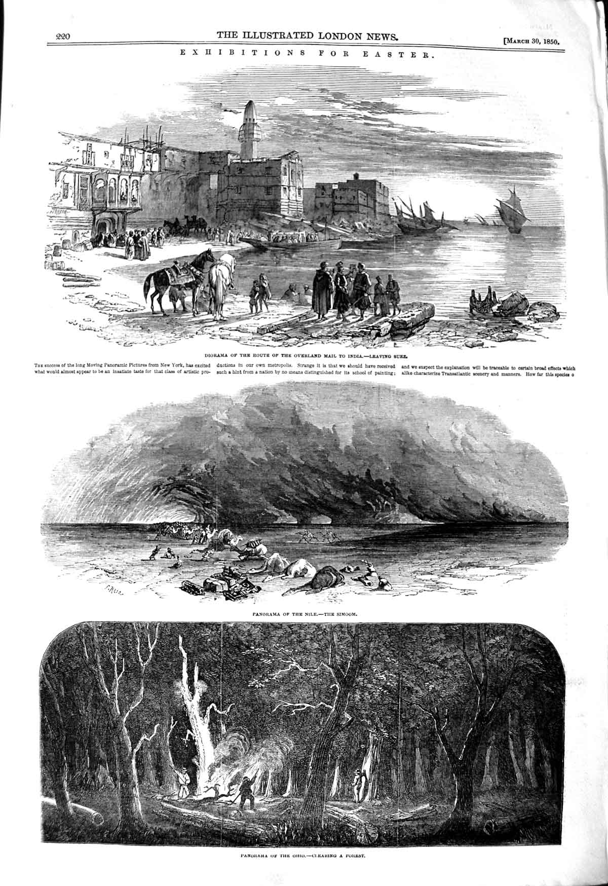Original Old Antique Print 1850 Suez Panorama Nile Simoom Ohio Forest Victorian