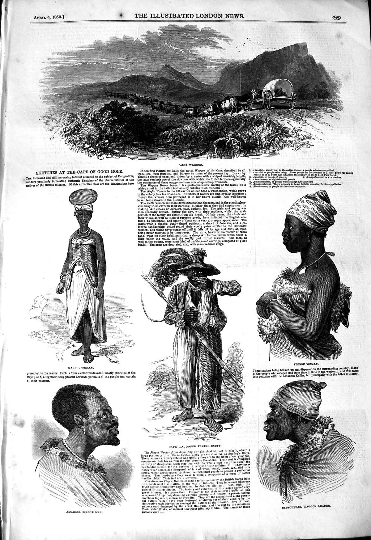 Old Antique Print 1850 Cape Good Hope Cape Waggon Kaffir Fingoe Amakosa 19th