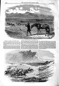 Original Old Antique Print 1850 Springbok Hunting South Africa Jackal New 19th