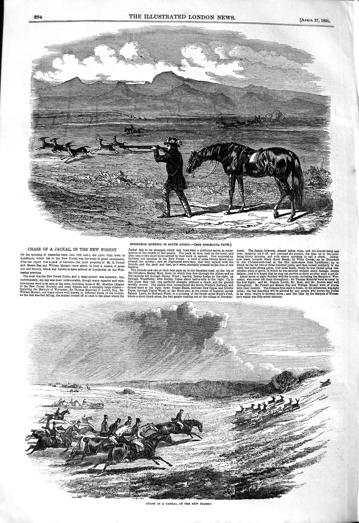 Original Old Antique Print 1850 Springbok Hunting South Africa Jackal New 19th