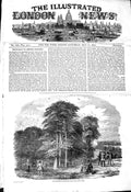 Old Antique Print 1850 Rook Shooting Penshurst Park Birds Hunting Sport 19th