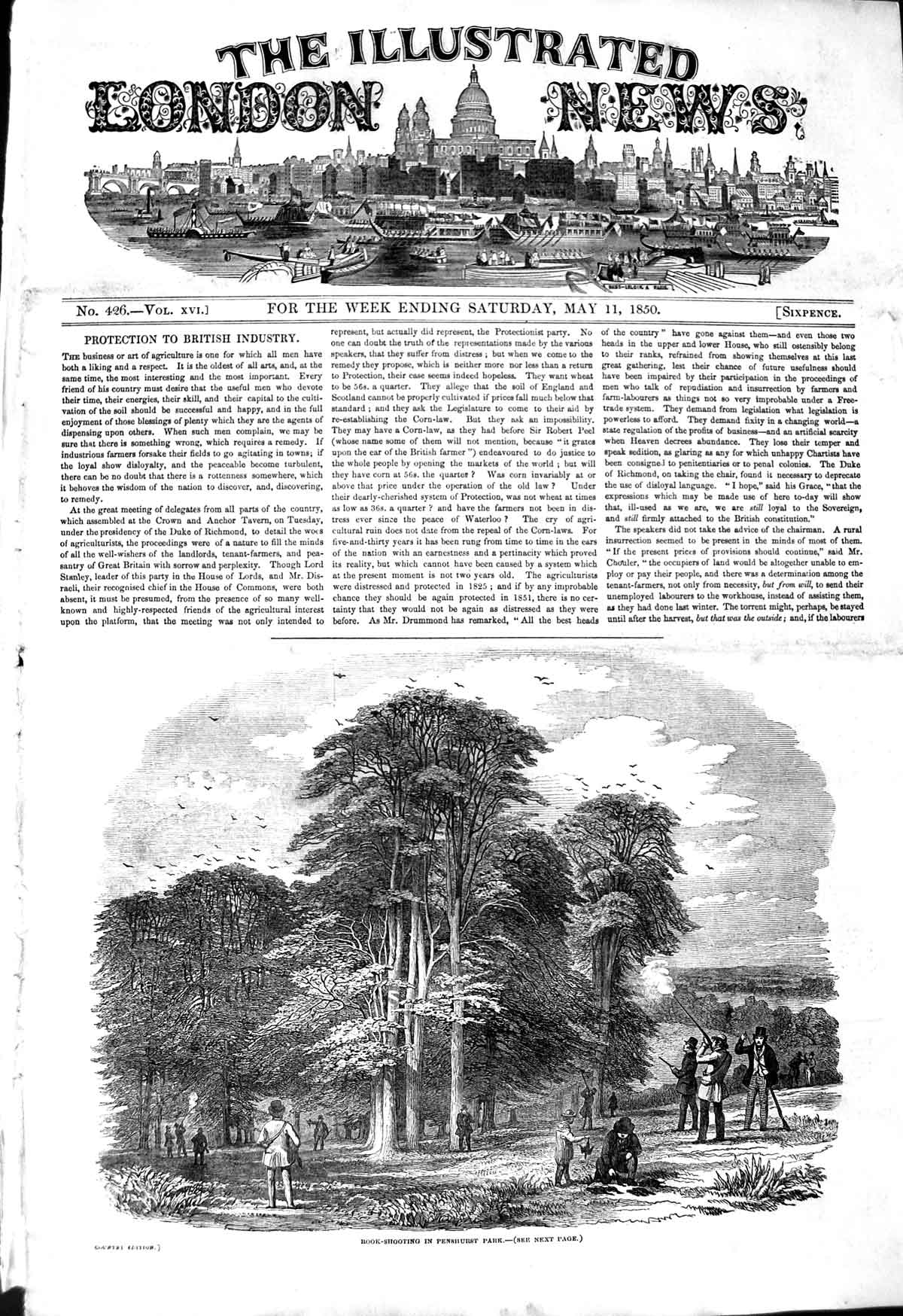 Old Antique Print 1850 Rook Shooting Penshurst Park Birds Hunting Sport 19th