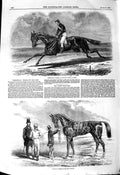Original Old Antique Print 1850 Rhedycina Horse Oas Ascot Stakes Wanota Sport