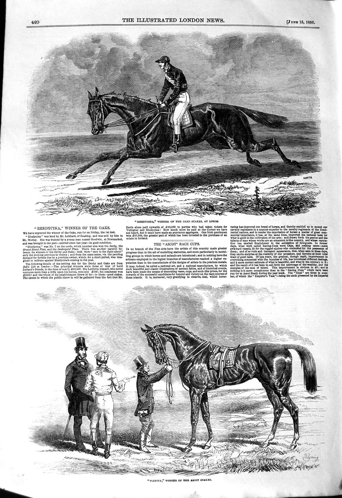 Original Old Antique Print 1850 Rhedycina Horse Oas Ascot Stakes Wanota Sport