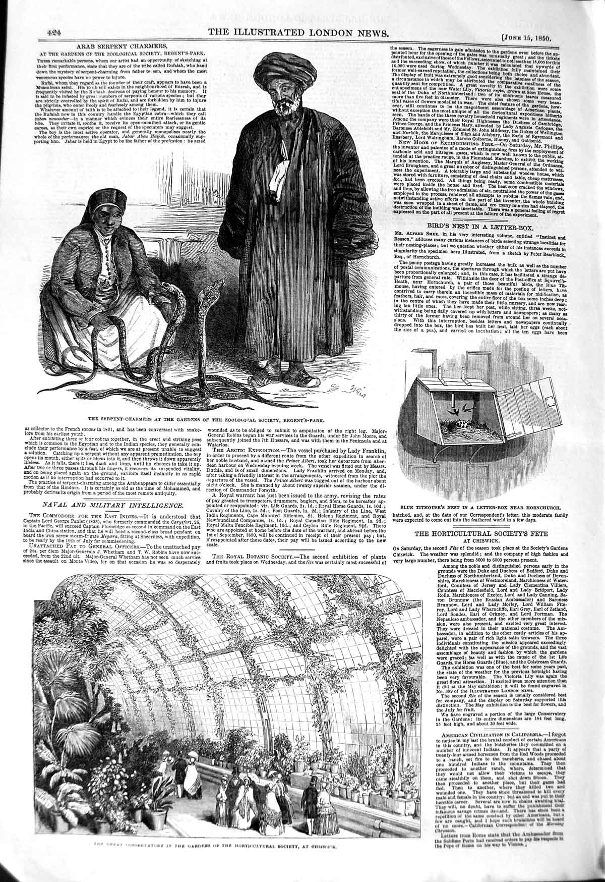 Original Old Antique Print 1850 Conservatory Gardens Chiswick Snake-C Victorian