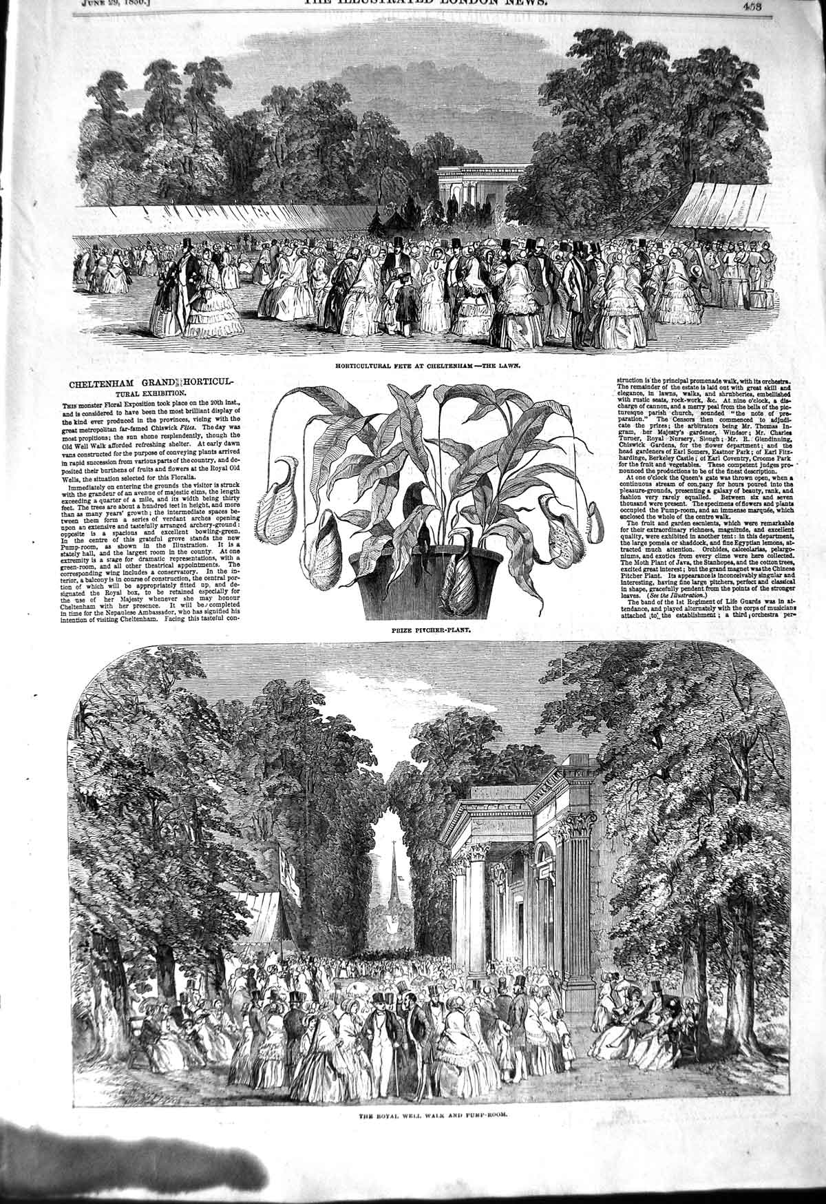 Original Old Antique Print 1850 Cheltenham Horticultural Exhibition Royal Well