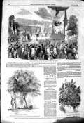 Old Antique Print 1850 Nassau Balloon Vauxhall Gardens Buxton Strawberry 19th