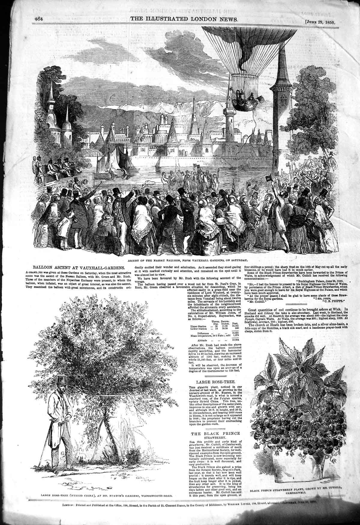 Old Antique Print 1850 Nassau Balloon Vauxhall Gardens Buxton Strawberry 19th