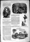 Old Antique Print 1850 Villa Antigua Eleanor Ship Heisone Nest Pensilis 19th