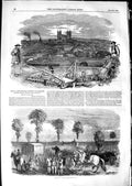 Old Antique Print 1850 Royal Agricultural Society England Cattle Farming 19th