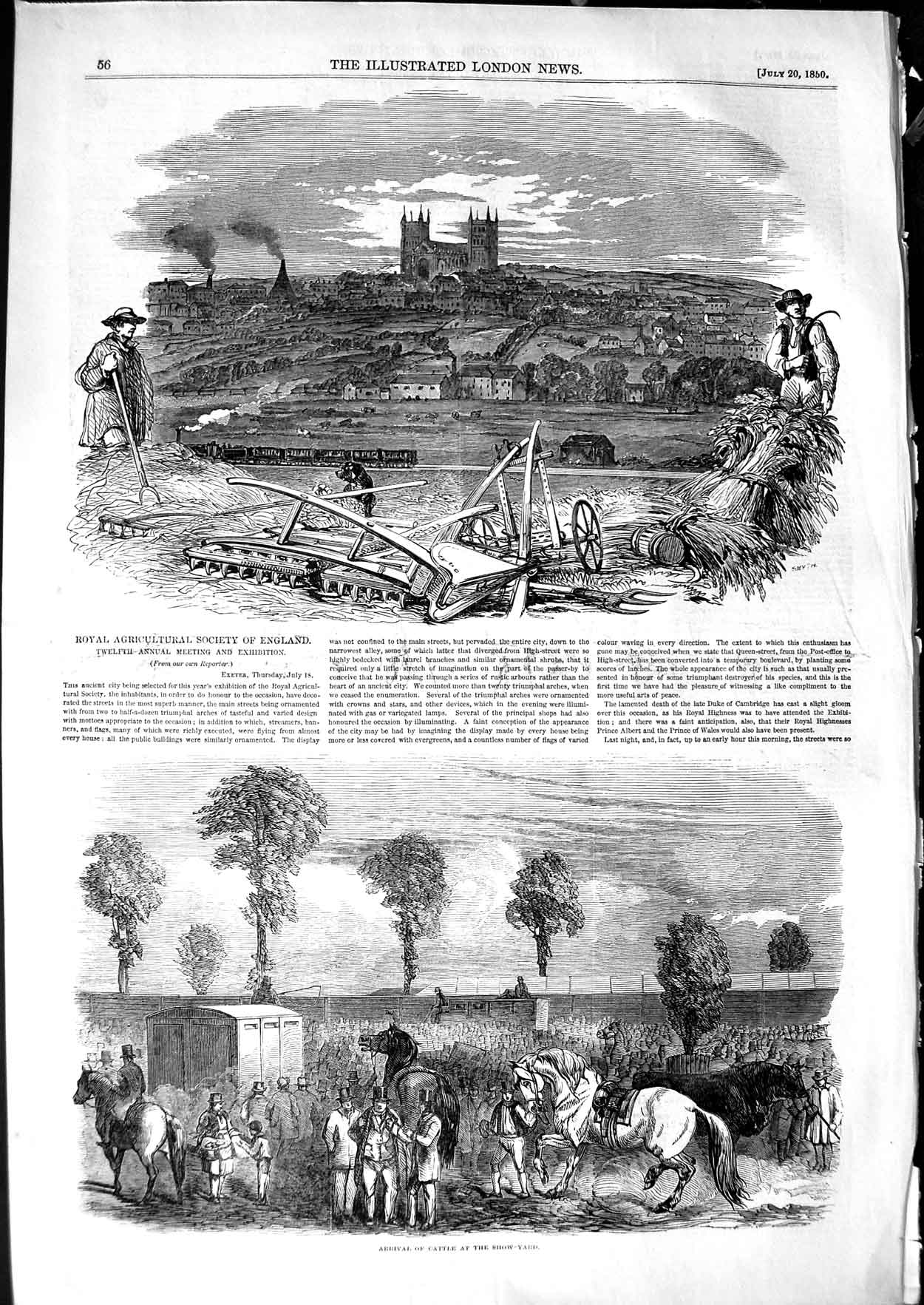 Old Antique Print 1850 Royal Agricultural Society England Cattle Farming 19th