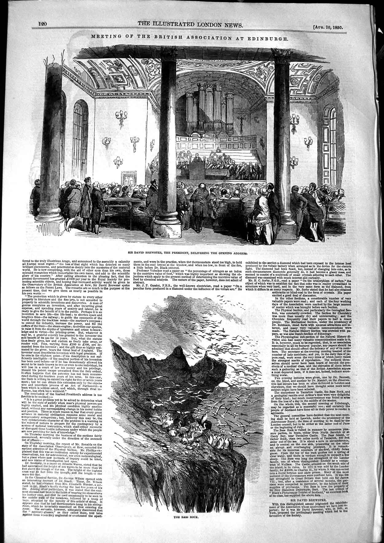 Original Old Antique Print 1850 David Brewster Edinburgh Bass Rock Birds Sea