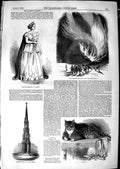 Original Old Antique Print 1850 Fiorentini Graham Balloon Civic Cross Bristol