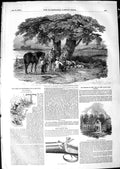 Old Antique Print 1850 Safety Gun Cottage Honfleur Shooting Season Sport 19th