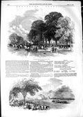Original Old Antique Print 1850 Doncaster Horse Races Course Sport Victorian