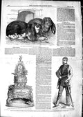Original Old Antique Print 1850 Prize Rabbits Chatham Show Von Der Tann Albany