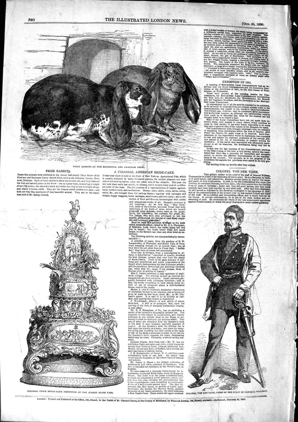 Original Old Antique Print 1850 Prize Rabbits Chatham Show Von Der Tann Albany