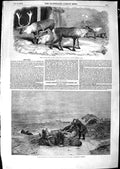 Old Antique Print 1850 Reindeer Zoological Regent'S Park Fishing Boat Art 19th