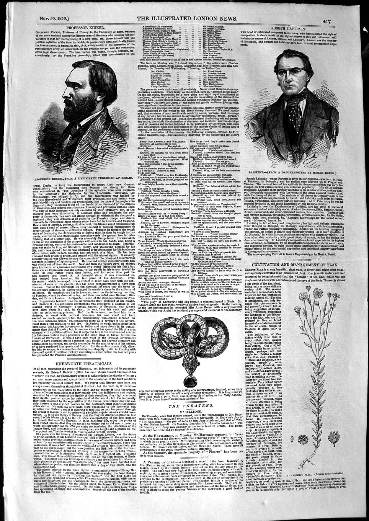 Original Old Antique Print 1850 Portrait Professor Kinkel Labitzky Common Flax