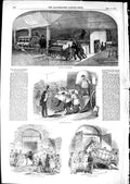 Original Old Antique Print 1850 Smithfield Club Exhibition Implements Pig Ox