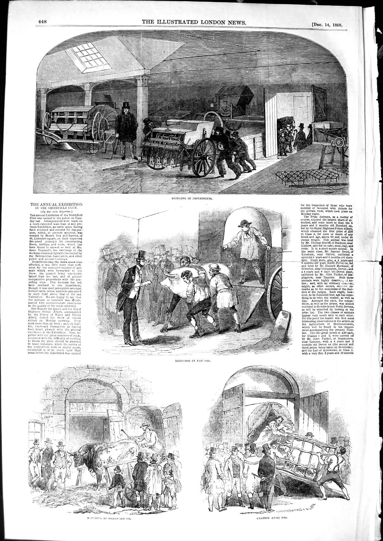 Original Old Antique Print 1850 Smithfield Club Exhibition Implements Pig Ox