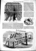Original Old Antique Print 1851 Elm Tree Exhibition Building Drilling Machine