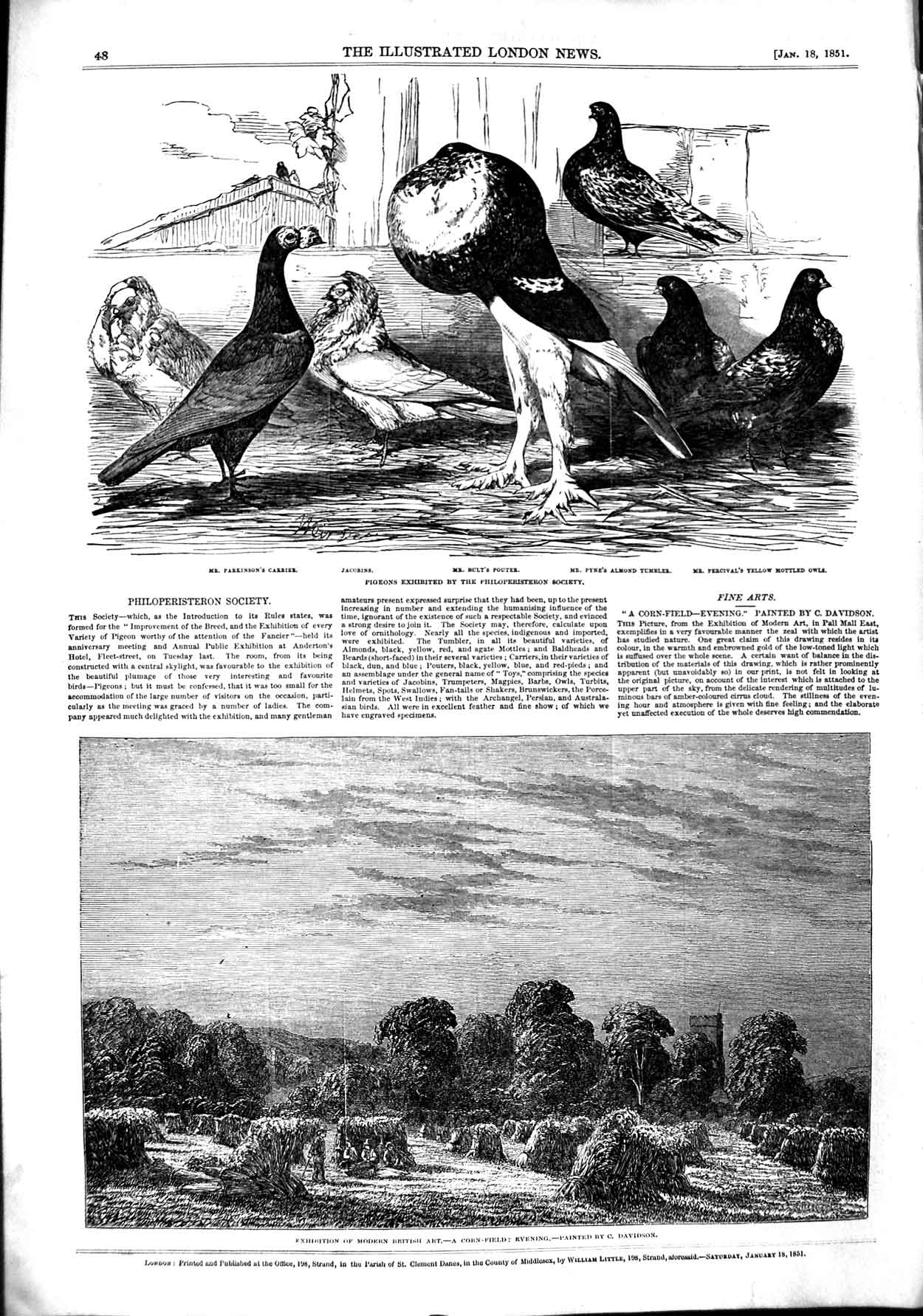 Old Antique Print 1851 Corn Field Pigeons Birds Pyne Percival Parkinson 19th
