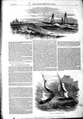 Original Old Antique Print 1851 Ship Wreck Steam Sloop Vessel Flamer Monrovia