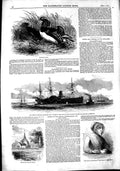 Old Antique Print 1851 Mandarin Ducks Mail Steam Ship Atlantic Read Cowes 19th