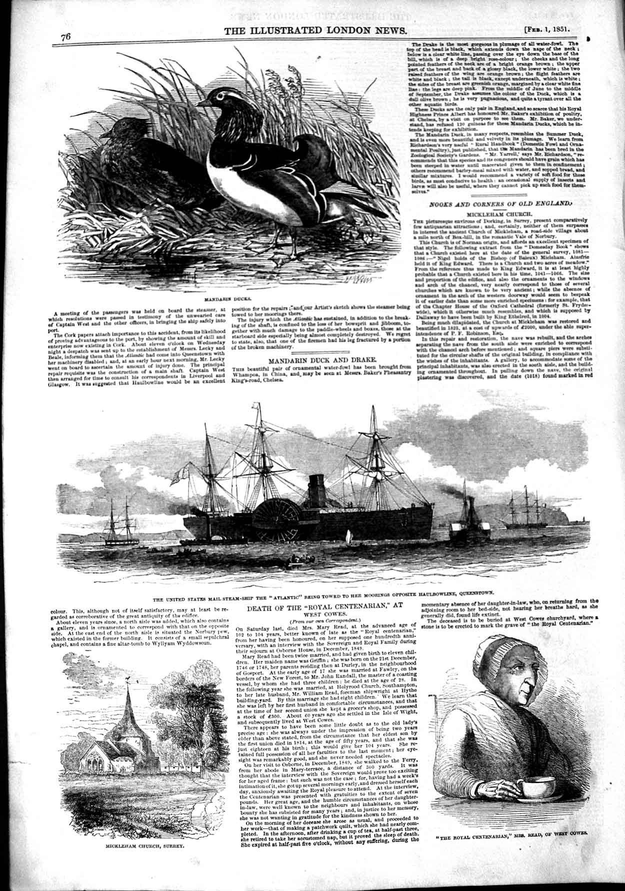 Old Antique Print 1851 Mandarin Ducks Mail Steam Ship Atlantic Read Cowes 19th