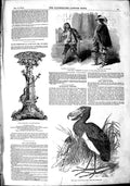 Old Antique Print 1851 Haymarket Theatre Plate James Hay Bird White Nile 19th