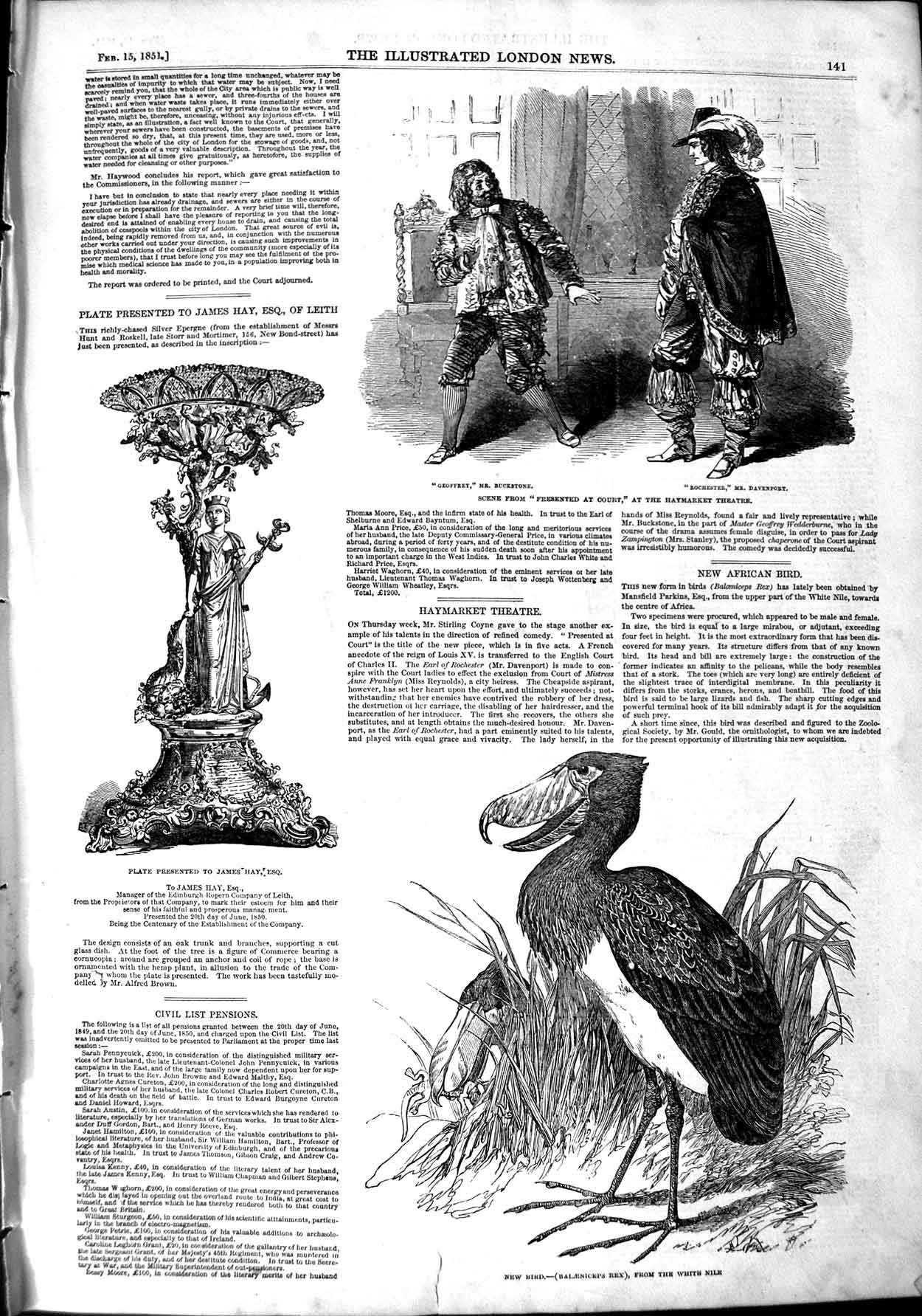 Old Antique Print 1851 Haymarket Theatre Plate James Hay Bird White Nile 19th