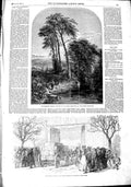 Original Old Antique Print 1851 Moorland Stream Great Exhibition Building Hyde