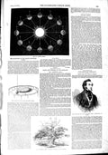 Original Old Antique Print 1851 Adam'S Orrery Jacob Bell Monmouth Tree Lac 19th