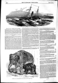 Old Antique Print 1851 Ship Wreck Border Queen Ship Elephant Calf Regents 19th