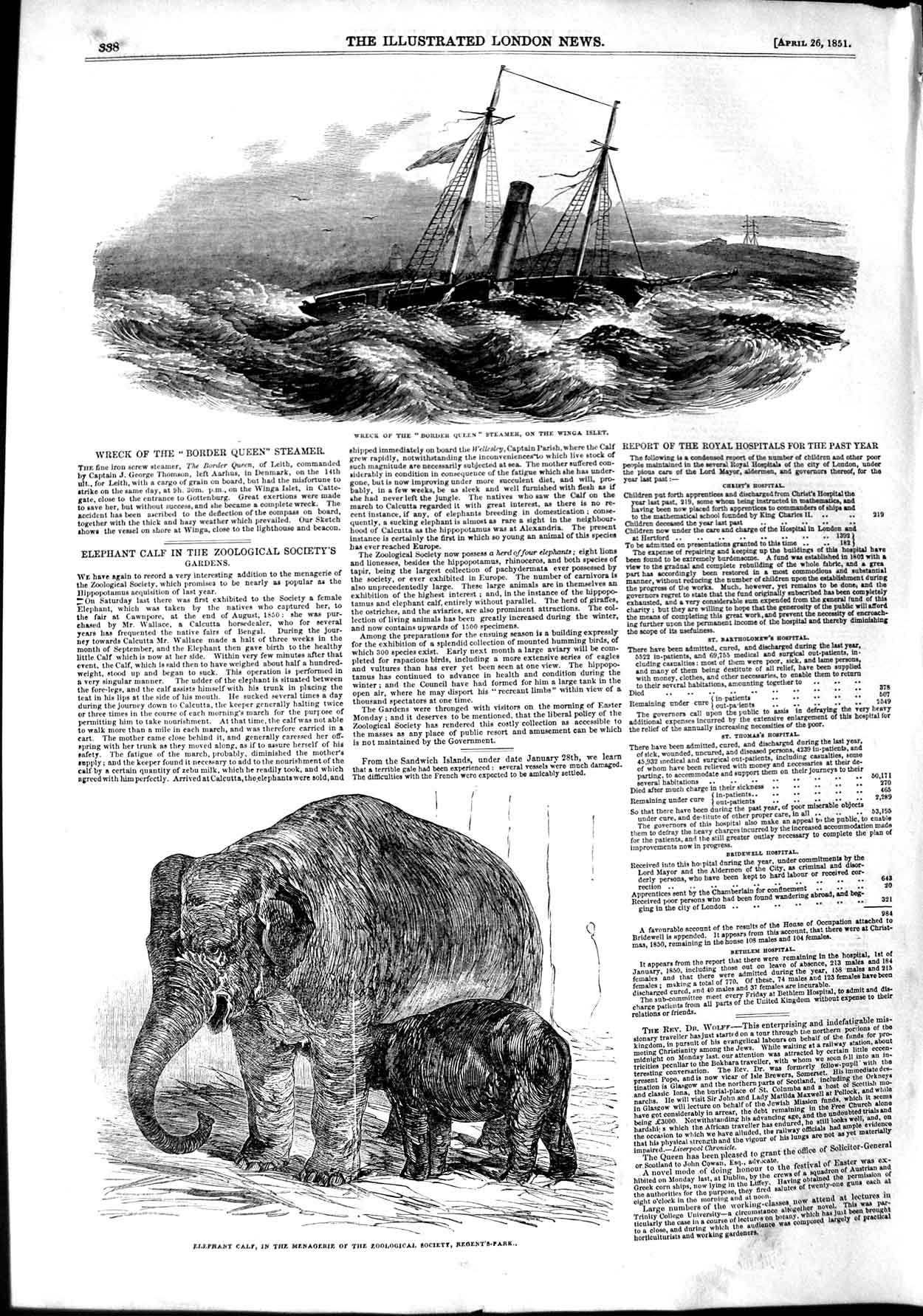 Old Antique Print 1851 Ship Wreck Border Queen Ship Elephant Calf Regents 19th