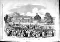 Original Old Antique Print 1851 Hyde Park London Horses Queen 19th