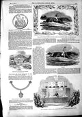 Old Antique Print 1851 Flying Dutchman Horse Voltigeur Royal Institution 19th