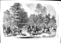 Original Old Antique Print 1851 Scene Rotten-Row Hyde Park Horses Tree Victorian
