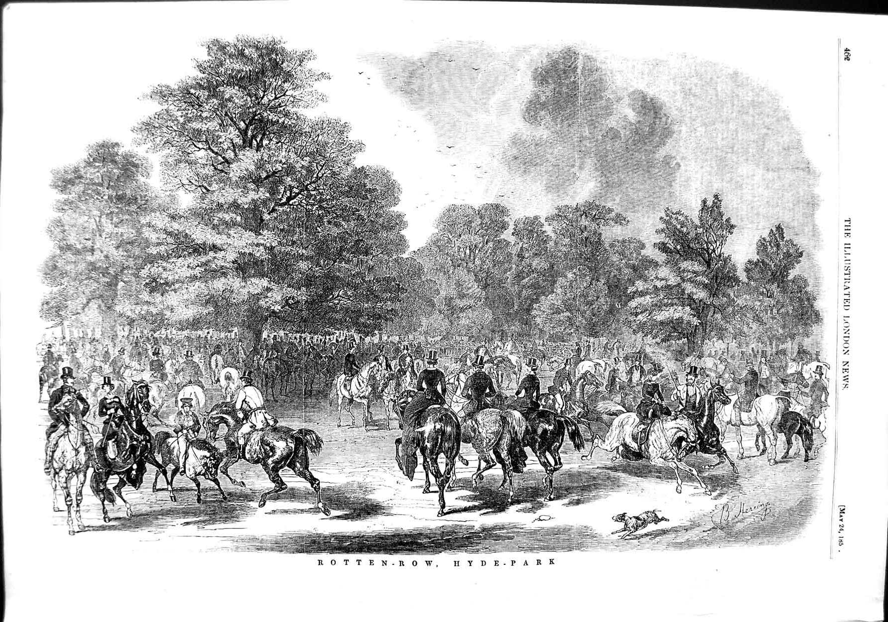 Original Old Antique Print 1851 Scene Rotten-Row Hyde Park Horses Tree Victorian