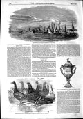 Original Old Antique Print 1851 Andries Stockenstrom Cape Town Pigeons Franklin