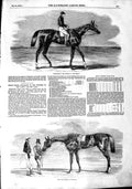 Original Old Antique Print 1851 Teddington Horse Winner Derby Iris Oak Victorian