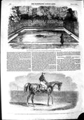 Original Old Antique Print 1851 Woolwich Horse Emperor'S Vase Hippo Victorian