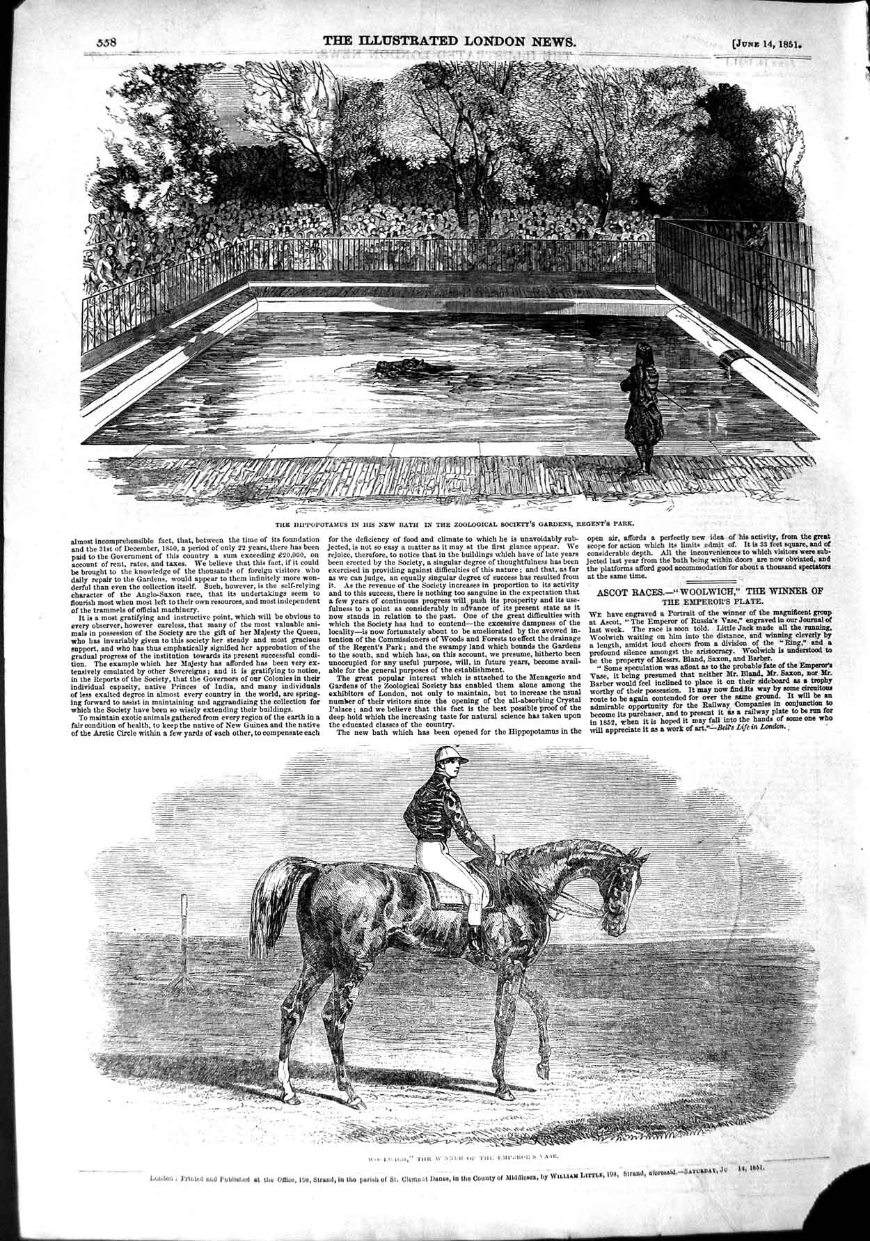 Original Old Antique Print 1851 Woolwich Horse Emperor'S Vase Hippo Victorian