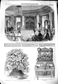 Original Old Antique Print 1851 Herr Kaufmann Buckingham Palace Rhododendron