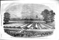 Original Old Antique Print 1851 Royal Agriculture Society Meeting Windsor Park
