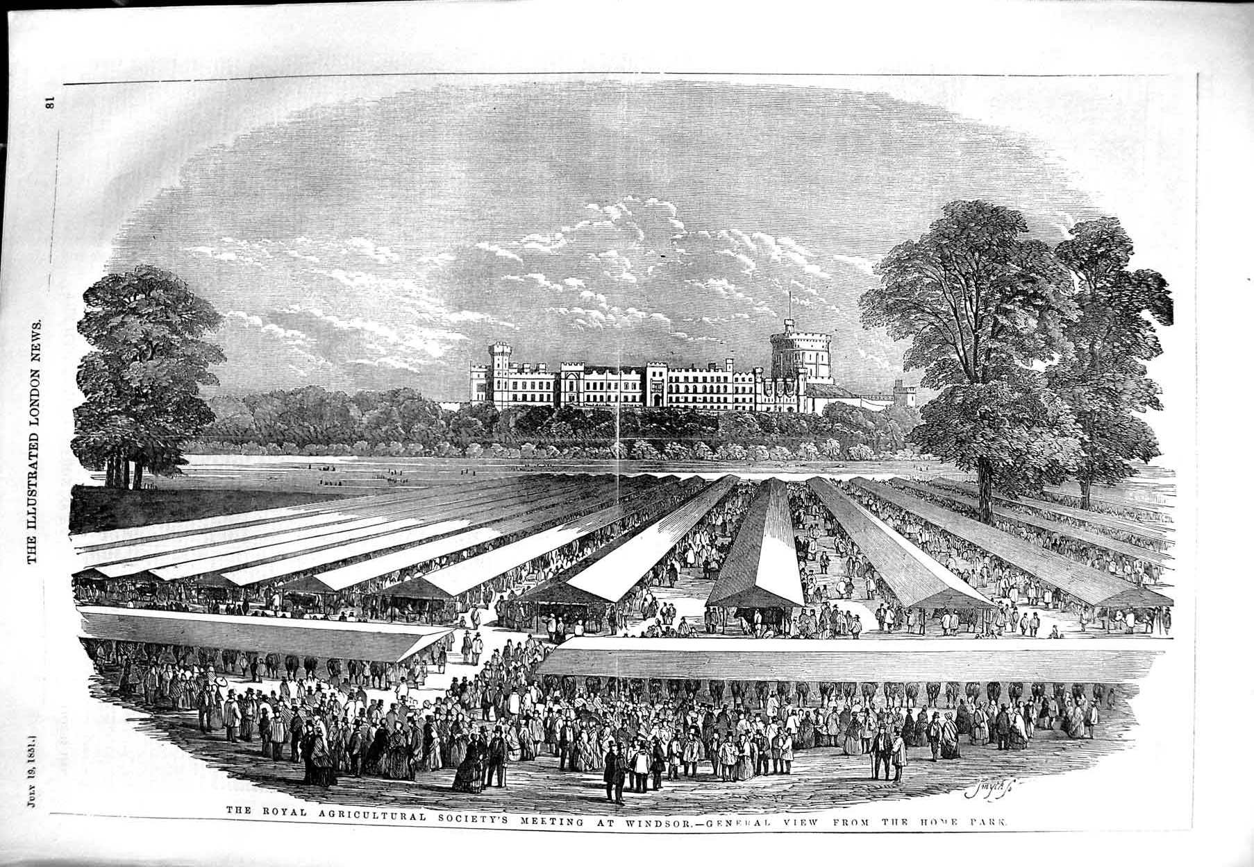 Original Old Antique Print 1851 Royal Agriculture Society Meeting Windsor Park